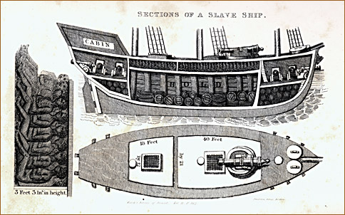 Sections of a Slave Ship